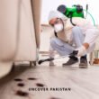 Pest Control Companies in Pakistan