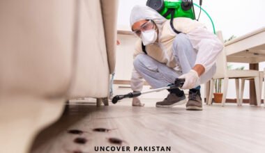 Pest Control Companies in Pakistan