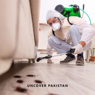 Pest Control Companies in Pakistan