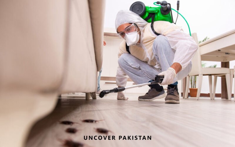 Pest Control Companies in Pakistan